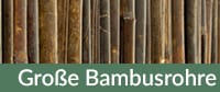 Große Bambusrohre